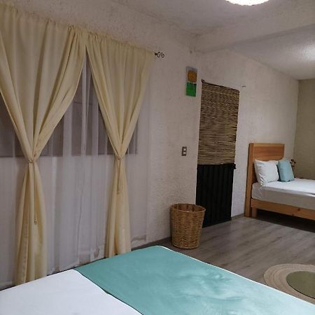 Alojamiento El Nixtamal Oaxaca Екстериор снимка